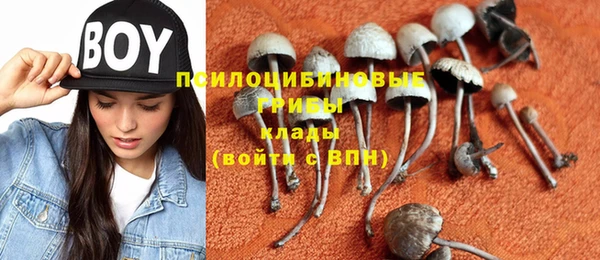 прущий лед Верхний Тагил