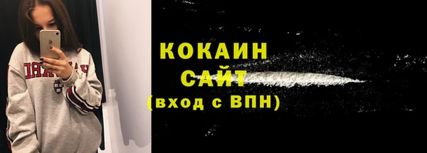 крисы Бородино