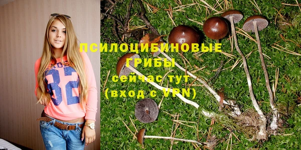 мдма Бронницы
