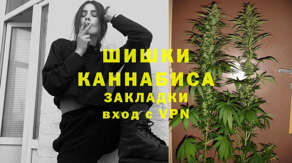 крисы Бородино
