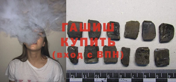 крисы Бородино